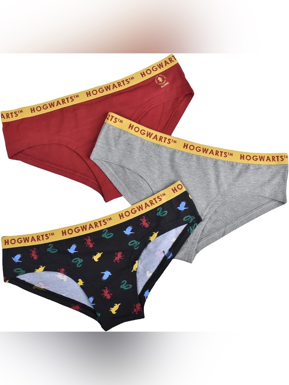 3-Pack of Harry Potter Hogwarts Women’s Hipster Underwear